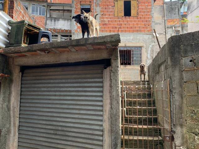 Casa para Venda em São Paulo - 3