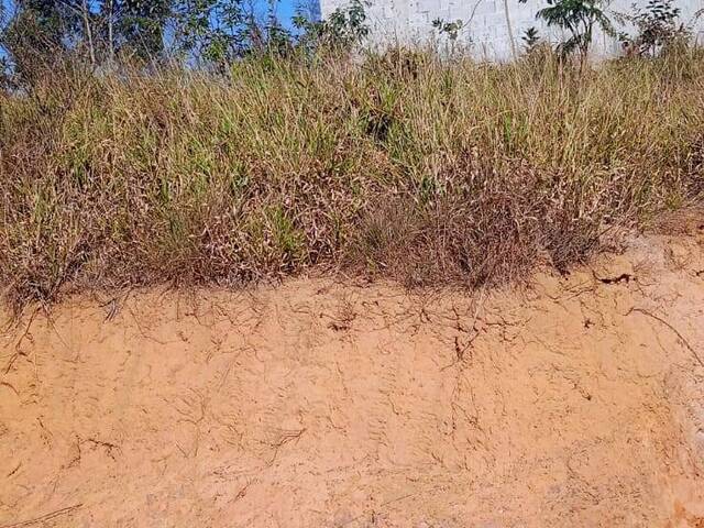 Área para Venda em São Paulo - 1