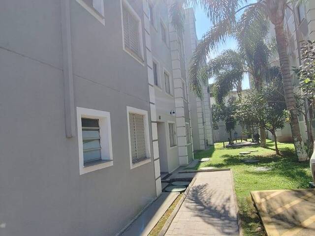 Locação em Loteamento City Jaragua - São Paulo