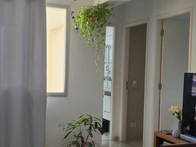 Apartamento para Venda em São Paulo - 3