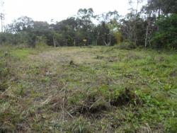 Venda em Jardim Anchieta Gleba A - Itanhaém