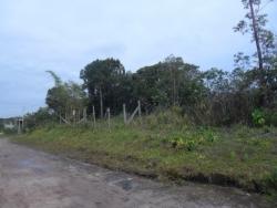 Terreno para Venda em Itanhaém - 5